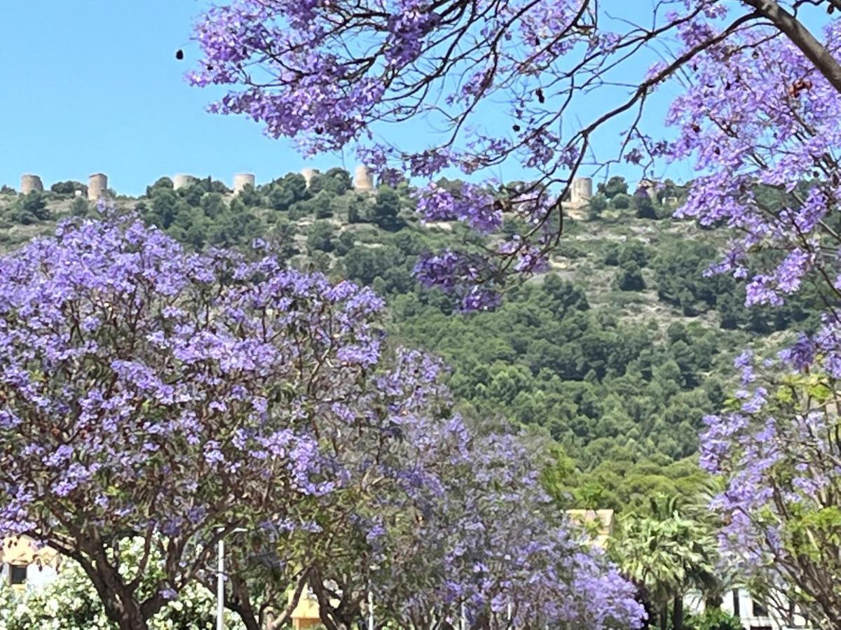 Apartment Nearby Beach And Old Town Jávea Extérieur photo
